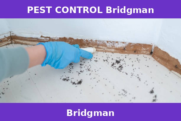 PEST CONTROL Bridgman